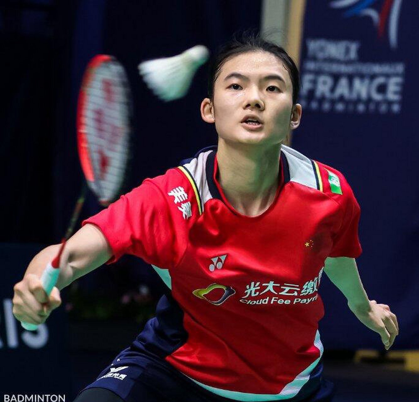 阿尔维斯和 阿尔维斯和