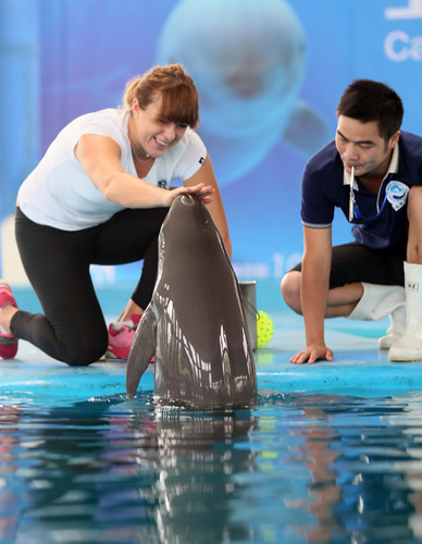 主教练采取 主教练采取